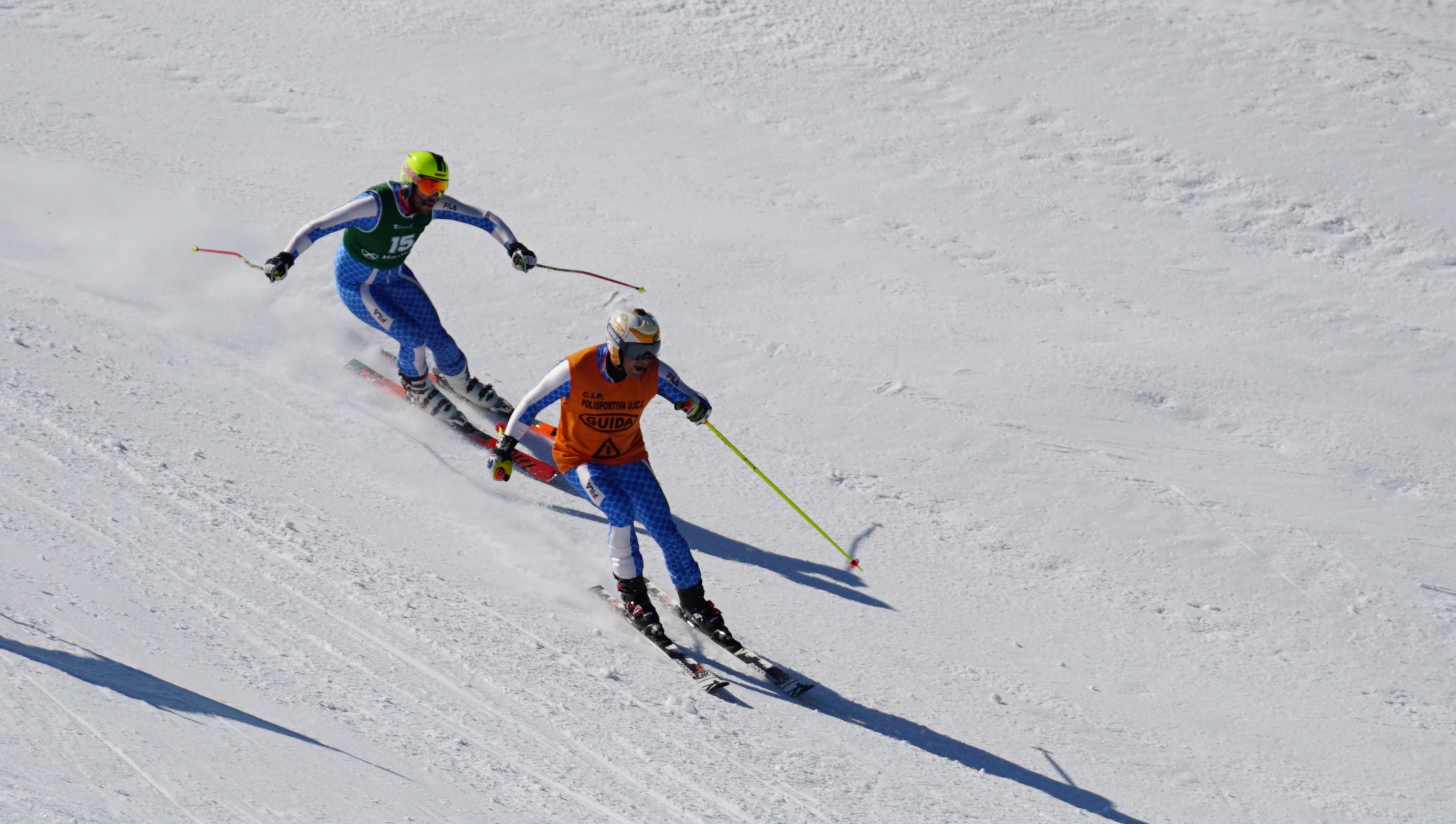 TM Ski Alpin 2
